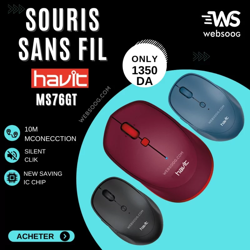 Souris optique sans fil HAVIT MS76GT