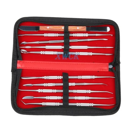 Kit d'Outils Polyvalent AIDA AD-10 – 10 en 1 pour Soins Dentaires et Réparation Électronique