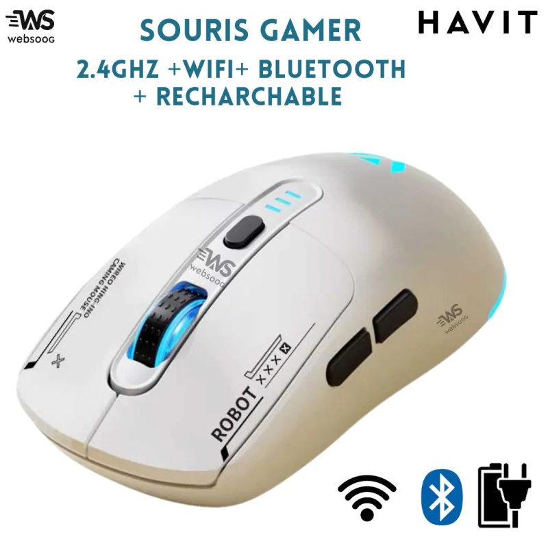 Souris Gamer Sans Fil HAVIT RECHARGABLE RGB GAMS64WB - 2.4GHz, Bluetooth & WiFi, Haute Précision et Réactivité