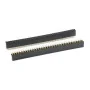 2x40pin Female Header 2.54mm (1pcs)