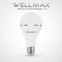 Ampoule LED rechargeable Wellmax 11 W 2500 mAh autonomie 3 heures