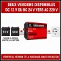 Convertisseur Welion 1000W GMS HF1000E 12 V/24 V vers 220 V