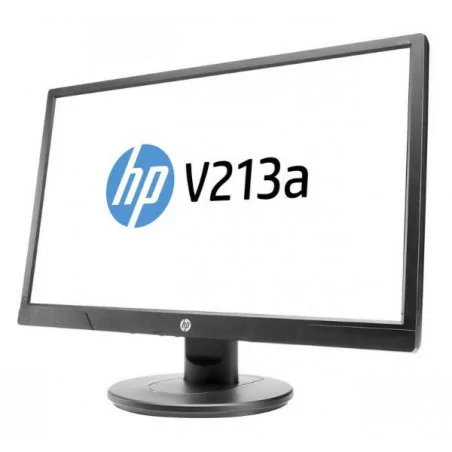 Écran 20,7\" Full HD HP V213a