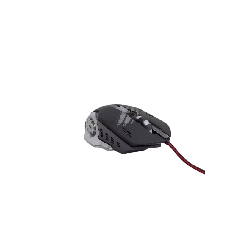 SOURIS ADR 2030