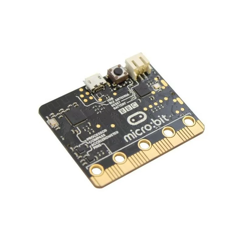 Micro bit