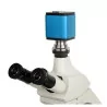 Microscope WiFi caméra SONY Sensor, mise au point automatique, Compatible HDMI